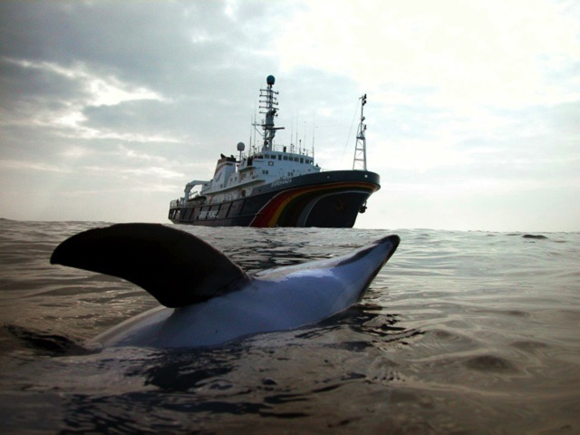 Loading Image